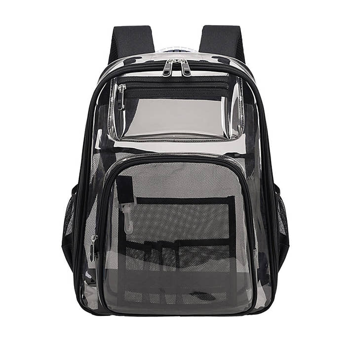 Transparent Backpack