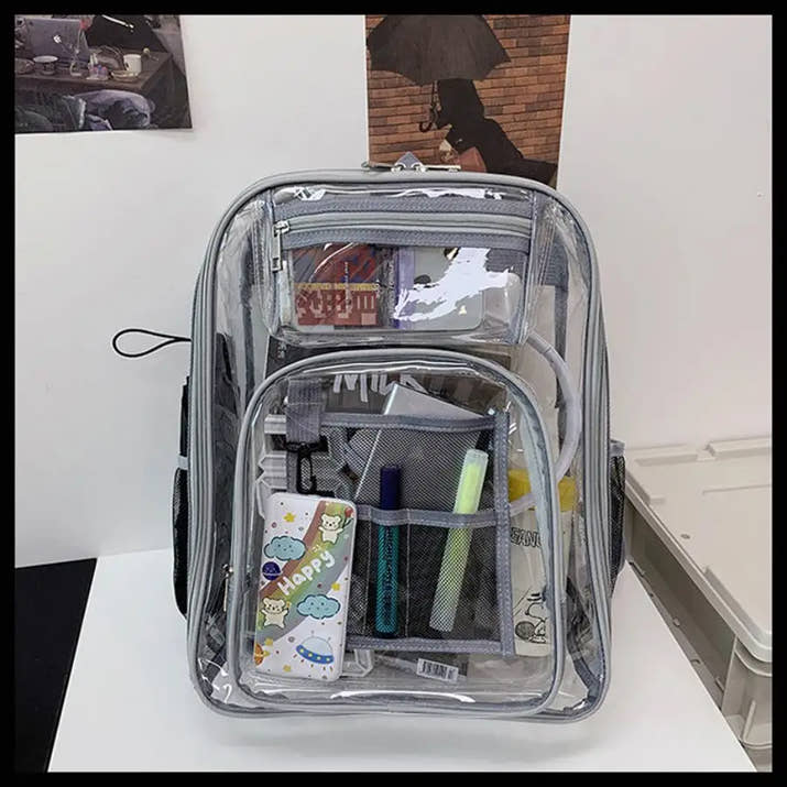 Transparent school backpack