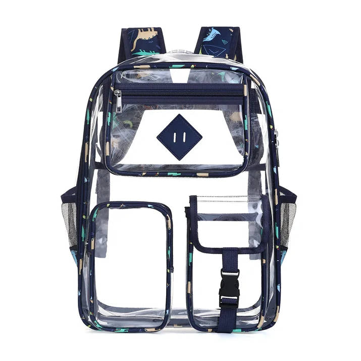 Transparent Backpack