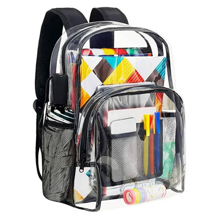 Transparent Backpack