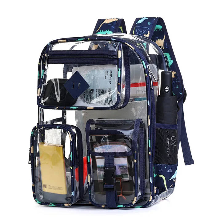 Transparent Backpack