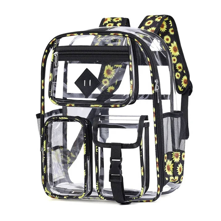 Transparent Backpack