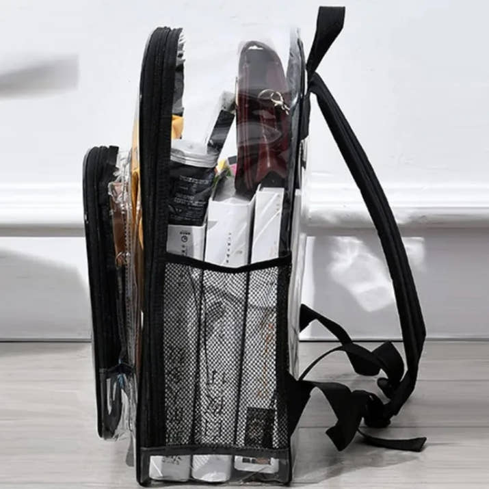 Transparent Backpack