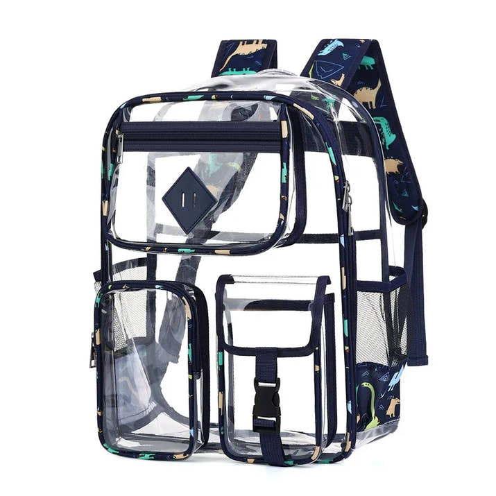 Transparent Backpack